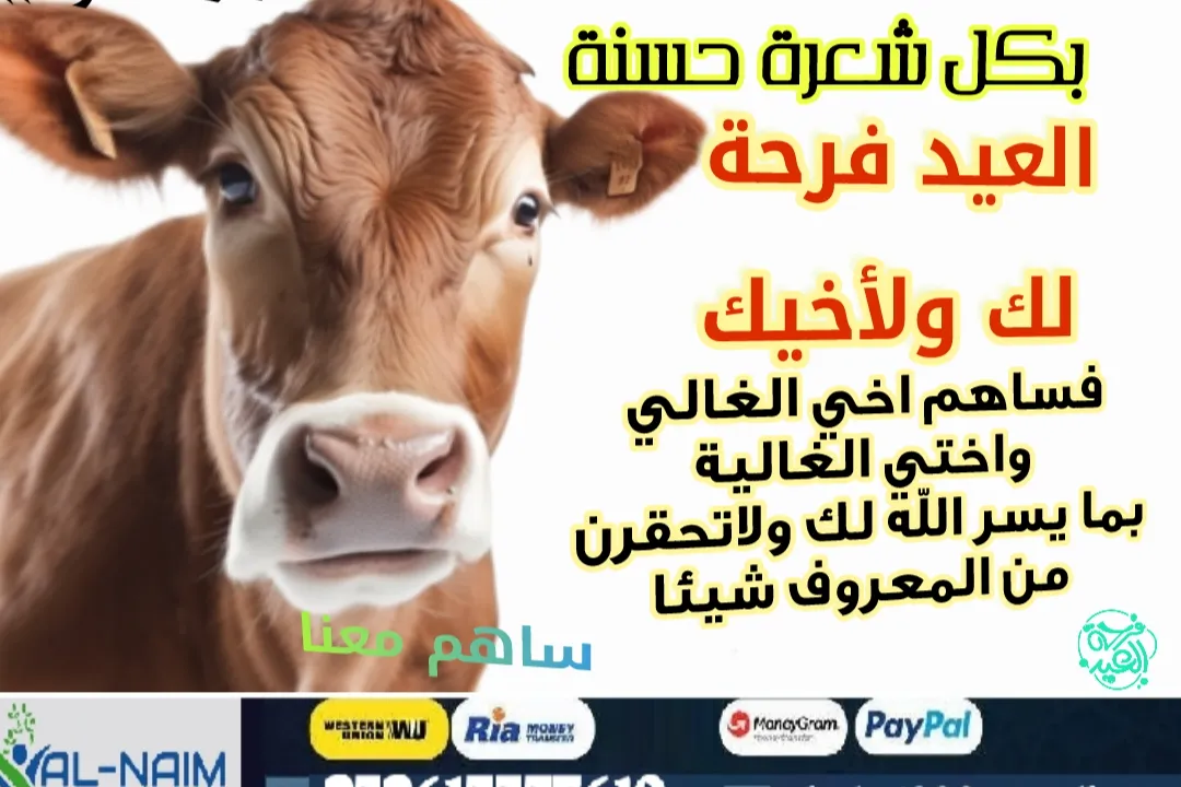 حملة اضاحي العيد 1447هـ -2026مـ